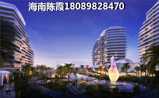 海口XG政策