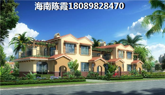 海口广物·海南之心