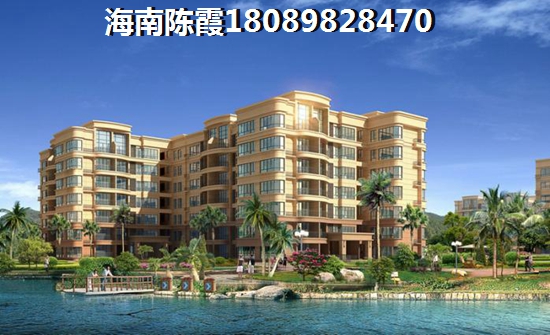 滨海新天地开发商怎么样？