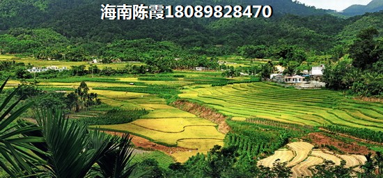 椰风海韵·海景花苑楼盘详情