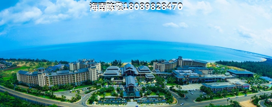 新香缇假日