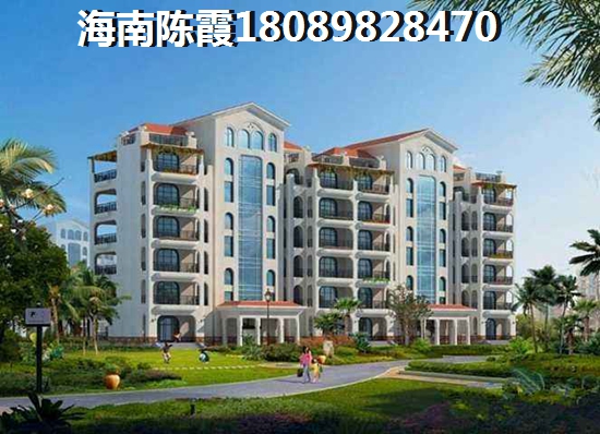 为啥XG后海南房价还在生纸