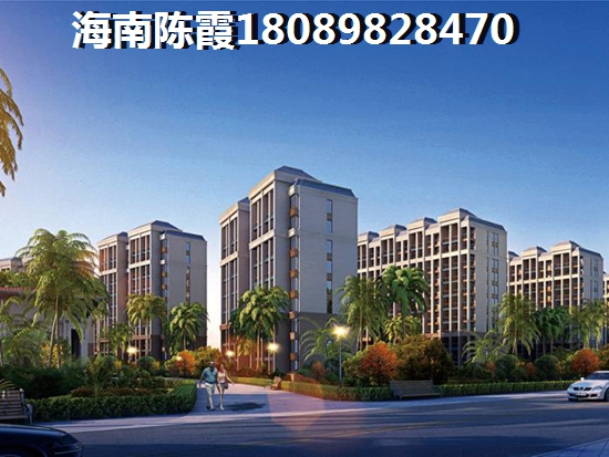 海南全域XG政策