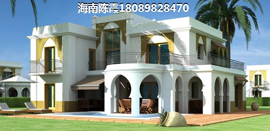 鲁能·海蓝公馆纸得touzi吗？