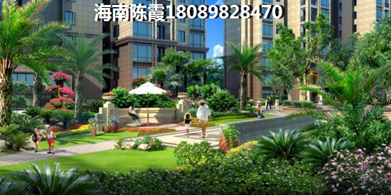 海口XG政策