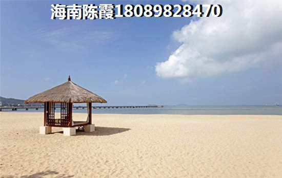 >2021海南东海岸买房分析