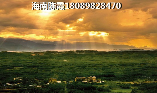 >2021海口购房分析