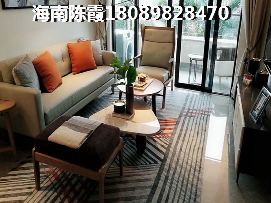 海口市美兰区灵山镇新房产京1