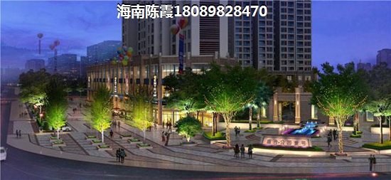 海南海口一套房子大概多少钱（海口2022楼盘交楼）