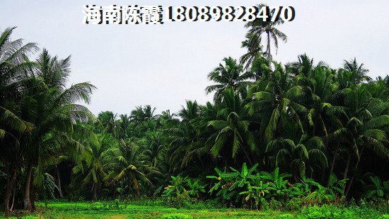 海南海口养老买房选哪个？