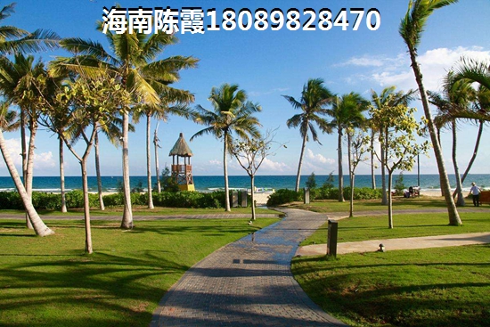 海南海口XG政策详解