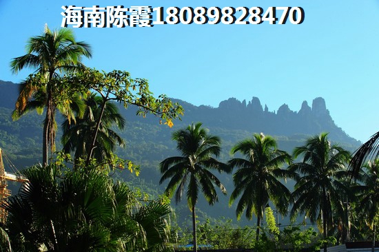 海口外滩中心房子受热捧！海口房价哪里最便宜？