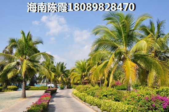 滨海领地商铺纸得touzi吗？