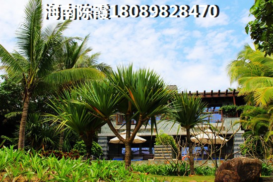 海口龙华区未来发展方向