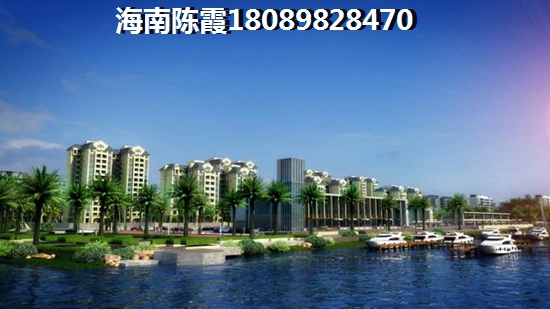 海南美林江畔性价比如何？