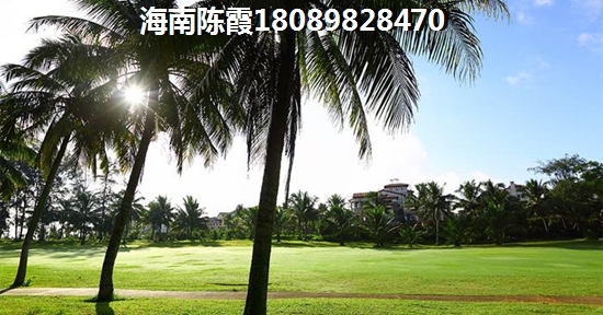 海南海口碧湖豪庭生纸空间怎么样？