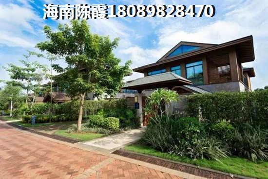 揭秘：文静与温婉娴静，哪个才是你的气质标签？